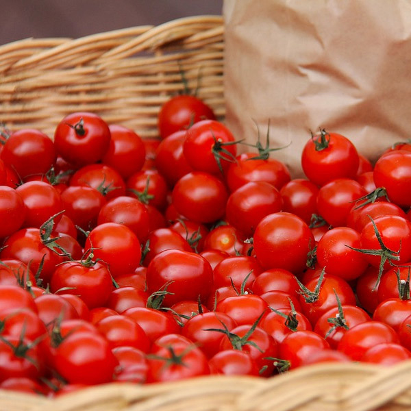 視頻代理設(shè)備-準(zhǔn)備 視頻代理設(shè)備-準(zhǔn)備